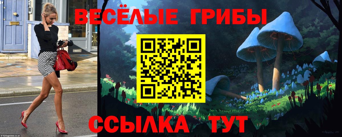 Галлюциногенные грибы прущие грибы  Вход с VPN  Ленинск-Кузнецкий  Псилоцибиновые грибы Psilocybine cubensis 